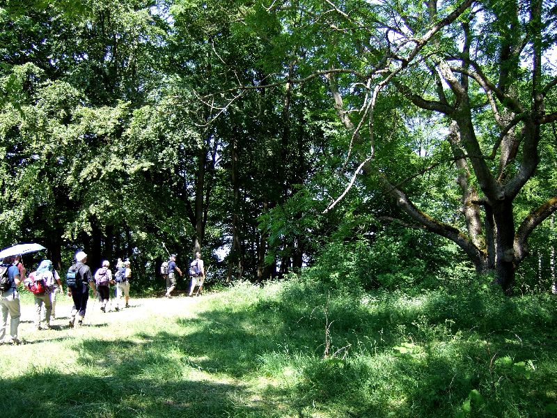 2011- 083.jpg